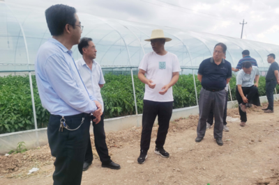 天水市農(nóng)業(yè)科學(xué)研究所觀摩秦安縣科技特派團(tuán)蔬菜產(chǎn)業(yè)組工作(圖)