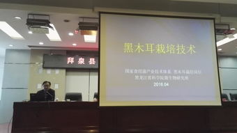 省農(nóng)業(yè)院校科技推廣服務(wù)聯(lián)盟專家赴拜泉縣指導(dǎo)食用菌生產(chǎn) 備春耕科技支農(nóng)活動(dòng)系列報(bào)道之二