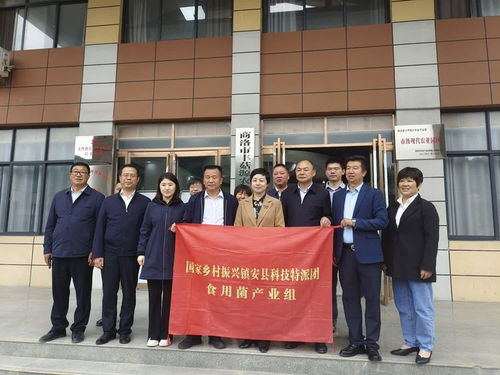 國(guó)家科技特派團(tuán)食用菌體系專家在大坪鎮(zhèn)開(kāi)展科技服務(wù)