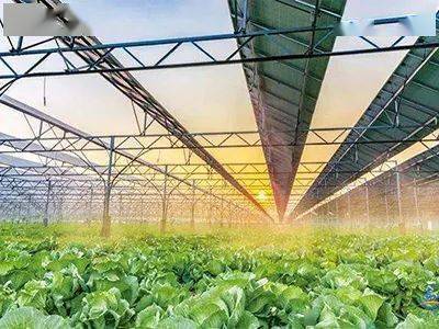 現代種業、鄉村新型服務業&hellip;國家鄉村振興局鼓勵社會資本投資這些涉農產業!