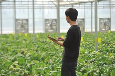 振興鄉村 國家發改委點贊貴州農業云、廣東農村超高速無線局域網