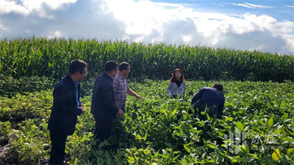 &ldquo;把脈開(kāi)方&rdquo;促生產(chǎn)|市科協(xié)專(zhuān)家深入田間開(kāi)展種植科技志愿服務(wù)