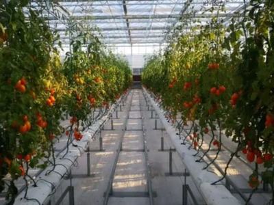 三農(nóng)日報|政策:新增高效育種重點實驗室;高光譜技術:或?qū)⑵平廪r(nóng)產(chǎn)品采摘保鮮難題;知識!克隆農(nóng)場是個啥;極飛科技:發(fā)力直營服務體系