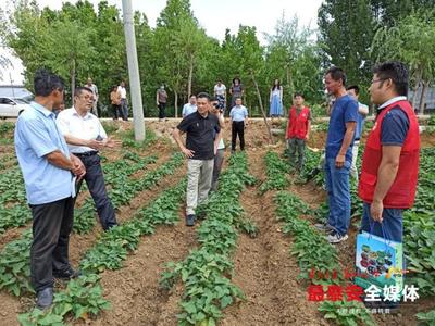 &ldquo;農(nóng)科先鋒&rdquo;志愿服務,科技助力產(chǎn)業(yè)振興