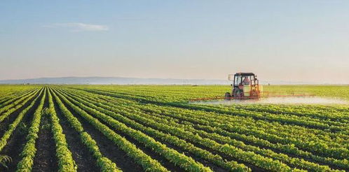 土特產4大商業模式 賣產品 賣服務 賣產業鏈