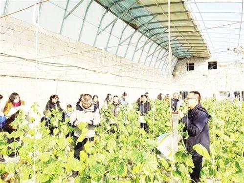 瓜州 農業技術培訓忙