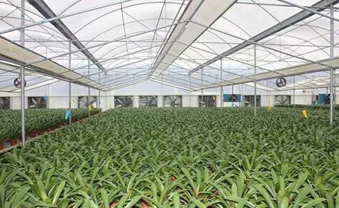 財政部公示21個國家現(xiàn)代農(nóng)業(yè)產(chǎn)業(yè)園,服務(wù)現(xiàn)代農(nóng)業(yè)我們是認真的