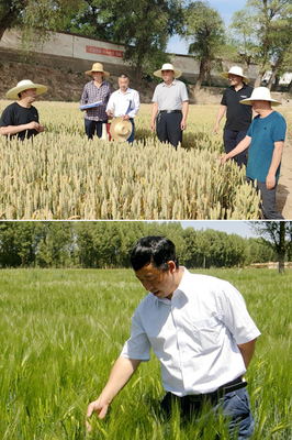 【社會服務(wù)紀實】農(nóng)學(xué)院黨委抓黨建促鄉(xiāng)村振興紀實-甘肅農(nóng)業(yè)大學(xué)