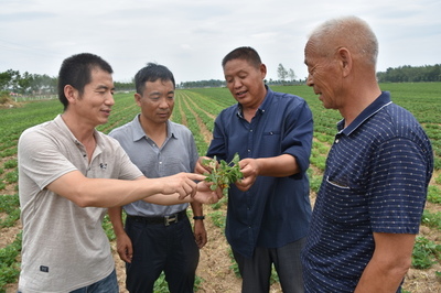 河南省正陽縣政協精準扶貧 科技進田--人民政協網