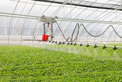 新春走基層丨江蘇濱海:人勤春早農事忙,&ldquo;蔬&rdquo;寫現代農業新篇章