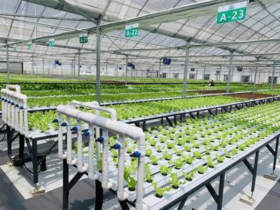 補貼上百萬!數字農業工廠:智能化、自動化的農業生產新模式