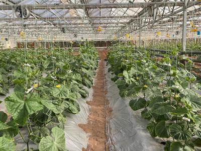 生態農場-為農業提質增效插上綠色&ldquo;翅膀&rdquo;