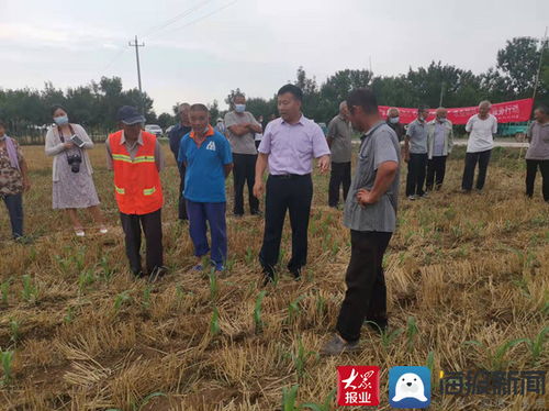 山東濱州國家農業科技園區 以農業科技賦能文明建設