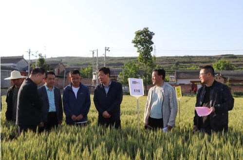 讓農業科技之花綻放在隴州大地上