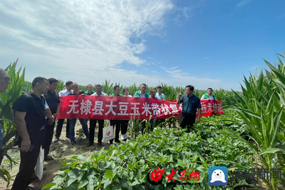 無棣縣科技特派員送“技”到田間，助力農(nóng)業(yè)科技服務升級