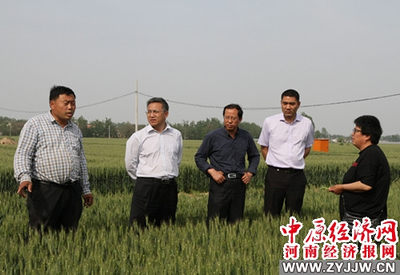 河南農(nóng)業(yè)大學 科技套餐送達田間地頭，精準服務助推鄉(xiāng)村振興