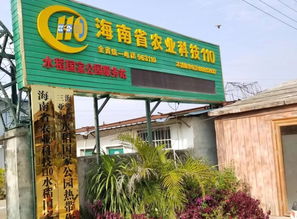 精準考核促提升，科技服務助農興——三亞科工局組織專家對海南省農業科技110服務站進行實地考核