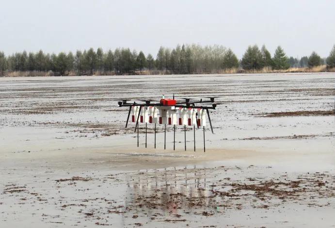 《“十三五”農業農村發展成就斐然，農業機械化與科技服務引領現代農業新篇章》