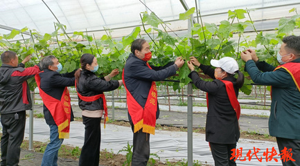 鹽城勞模愛心團隊 科技助農，護航春耕防疫“兩不誤”